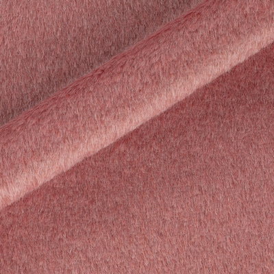 Dandy Coat Last Season