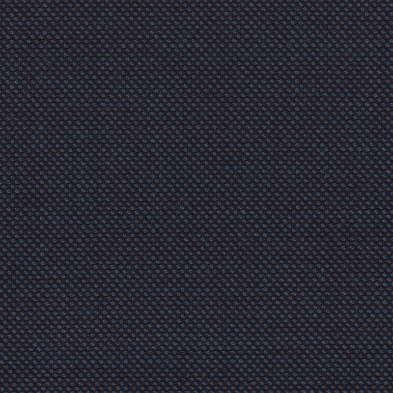Winter Arrival