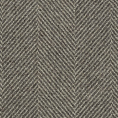 Archive Overcoat