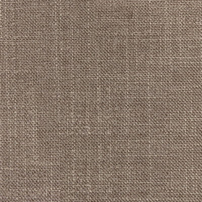 Bamboo (Volume: 491-E)