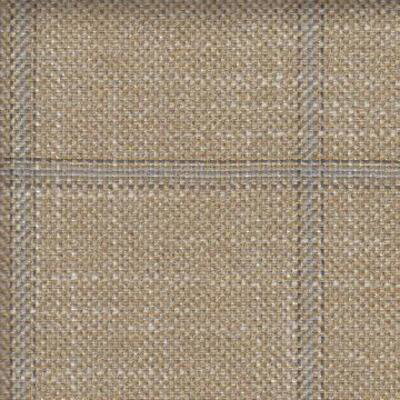 Bamboo (Volume: 491-E)