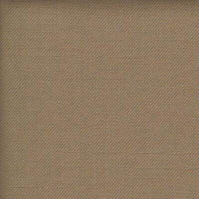 Albatross (Volume: 476)