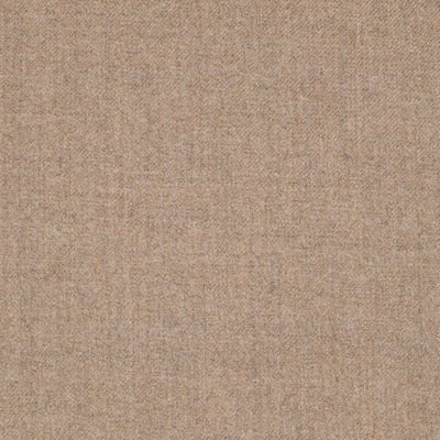 Phantom Flannel (Volume: 653)