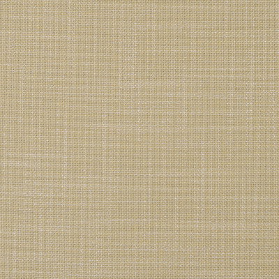 Bamboo II (Volume: 533)