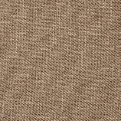 Bamboo II (Volume: 533)