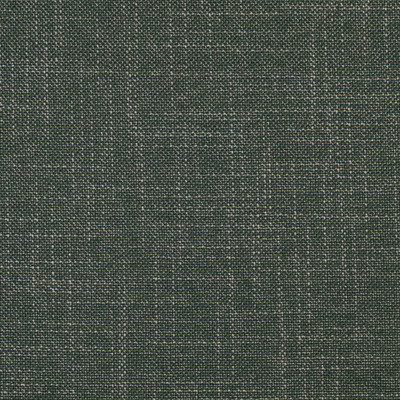 Bamboo II (Volume: 533)