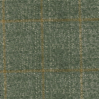 Bamboo (Volume: 491-E)