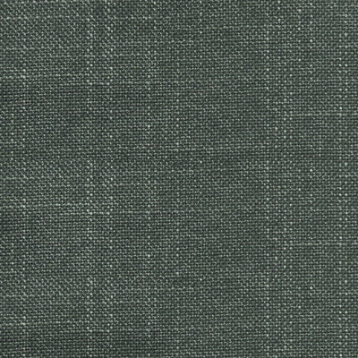 Bamboo (Volume: 491-E)