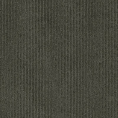 CORDUROYS & MOLESKIN