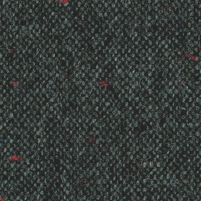 SHERRY TWEED