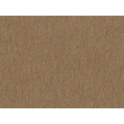 PURE VICUNA