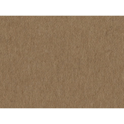 PURE VICUNA
