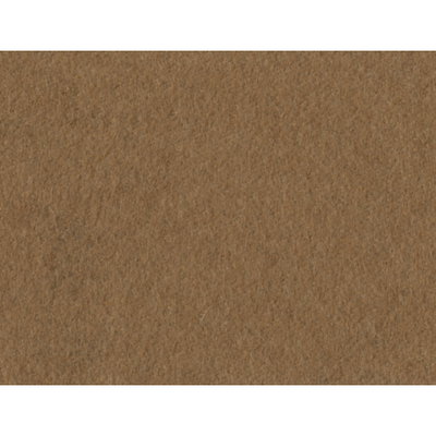 PURE VICUNA