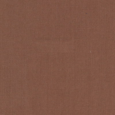 SILKSKIN