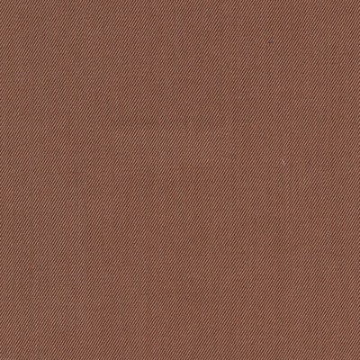SILKSKIN